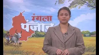 Local 7 News Punjab Bulletin LIVE