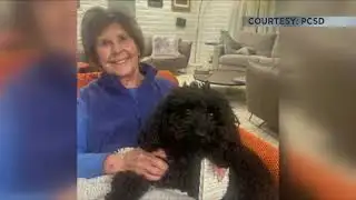 Local authorities say Today Show anchor Savannah Guthrie