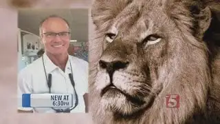 Local Big Game Hunter Speaks Out About Cecil The Lion