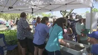 Local conservation group trying to restore and protect waterways