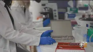 Local Doctors Take A Deeper Look Into EEE