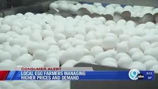 Local egg farmers managing higher prices and demand