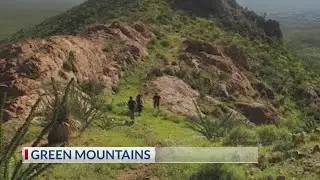 Local expert explains El Paso