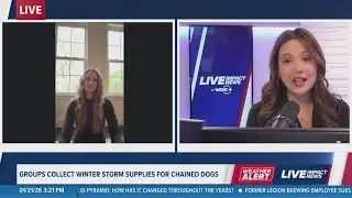 Local group collect winter supplies for chained dogs