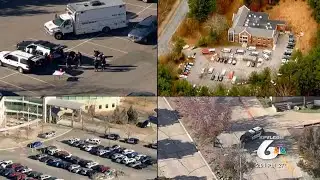 Local impacts on a nationwide bomb hoax