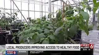 Local producers improving access to healthy food