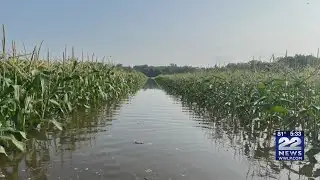 Local support for storm-damaged farms grows