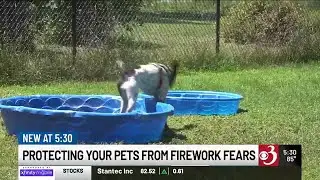 Local vets urge Independence Day pet precautions