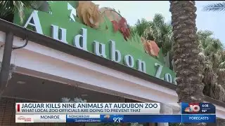 Local Zoos react to Audubon Zoo