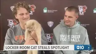 Locker room cat steals spotlight