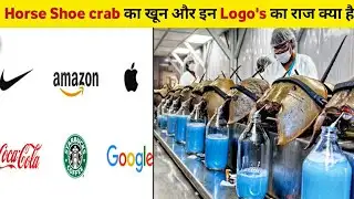 कंपनी के LOGO में छुपे मतलब | Interesting Meaning Behind the logos colours & horse shoe cab