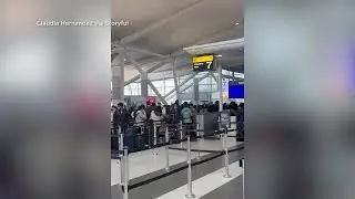 Long lines form at JFK Airport amid server issues