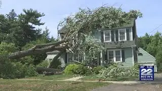 Longmeadow still dealing with tree damage from Saturday