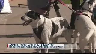 Longview residents Strut their Mutts for charity
