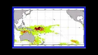 Looming coral reef disaster? scientists divided