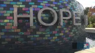 LOPA: Partnering with Southern Eye Bank for Eye Donation Month