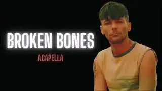 Louis Tomlinson- Broken Bones (Acapella/ Vocals Only)