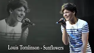 Louis Tomlinson - Sunflowers Lyrics