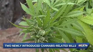 Louisville legislator files bill to expand access to the medical cannabis program