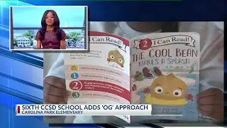 Lowcountry Literacy Project teacher training