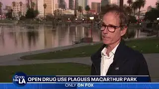 MacArthur Park Sonar Search Shut Down, Organizer Warned of Arrest Over Permit