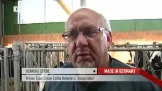 Made in Germany | The Cow as Export Hit