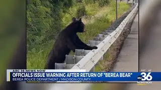 Madison County officials issue warning after bear is spotted in Berea