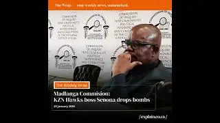 Madlanga Commission: KZN Hawks boss Senona drops bombs - 29 Jan 
