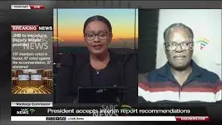 Madlanga Commission | President accepts interim report recommendations