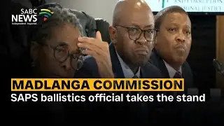 Madlanga Commission | SAPS ballistics official takes the stand