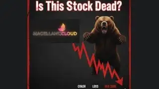 Magellanic Cloud share| Latest news and updates| LAST VIDEO| FUNDAMENTALS AND TECHNICALS.