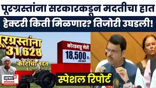 Maharashtra Relief Package News | पूरग्रस्त शेतकऱ्यांसाठी किती कोटींचं पॅकेज जाहीर? Special Report