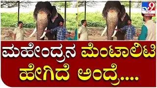 Mahendra: ಮಹೇಂದ್ರ ಆನೆಯನ್ನ ಎಲ್ಲಿ ಸೆರೆ ಹಿಡಿದಿದ್ದೀವಿ ಅಂದ್ರೆ... | Tv9 Kannada