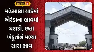 Mahesana APMC News | મહેસાણા યાર્ડમાં એરંડાના ભાવમાં ઘટાડો, છતાં ખેડૂતોને મળ્યા સારા ભાવ | Local18
