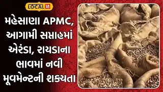 Mahesana News | મહેસાણા APMC, આગામી સપ્તાહમાં એરંડા, રાયડાના ભાવમાં નવી મૂવમેન્ટની શક્યતા | Local18