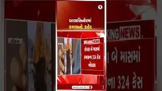 Mahisagar | બાલાસિનોરમાં કમળાનો કહેર | Balasinor | Health |