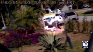 Mailman facing charges after video shows him pepper-spraying dogs