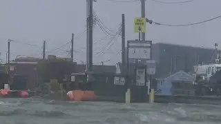 Maine activists are calling to 