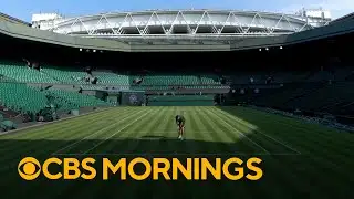 Maintaining the timeless glory of Wimbledon