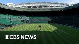 Maintaining the timeless glory of Wimbledon