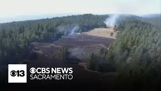 Major effort underway to help protect California forests from wildfires using existing fuel breaks
