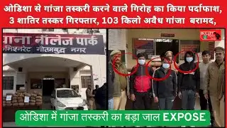 Major ganja smuggling racket exposed in Odisha