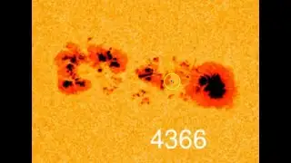 Major Updates Feb 4th 2026