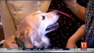 Making A Difference: Autism service dog