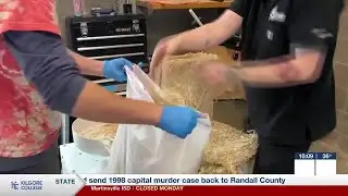 Making sure your pet’s shelter is protective against winter weather