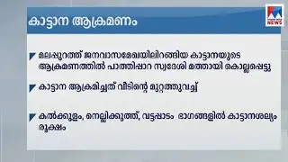 മലപ്പുറത്ത് കാട്ടാനയുടെ ആക്രമണത്തിൽ ഒരാൾ കൊല്ലപ്പെട്ടു | Malappuram wild elephant attack