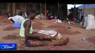 Malawi’s new leadership faces economic stabilization challenge