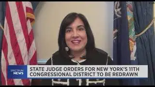 Malliotakis Joins NY1 Discussing NY Redistricting, Immigration