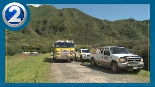 Man, 25, impaled by tree branch at Lulumahu Falls Trail