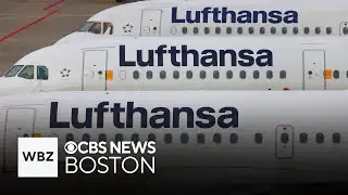 Man allegedly stabbed 2 teens with fork on flight from Chicago to Germany